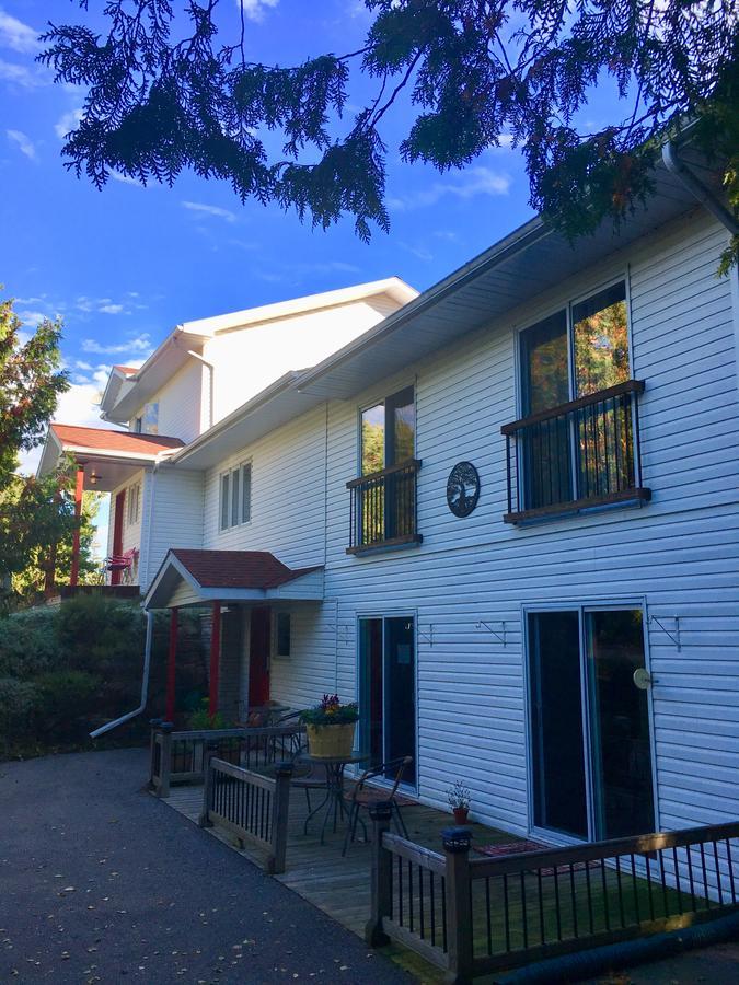 The Forest House B&B - Adult Only 托伯莫里 外观 照片