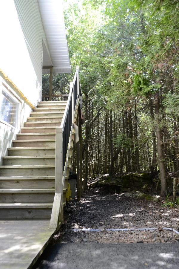 The Forest House B&B - Adult Only 托伯莫里 外观 照片