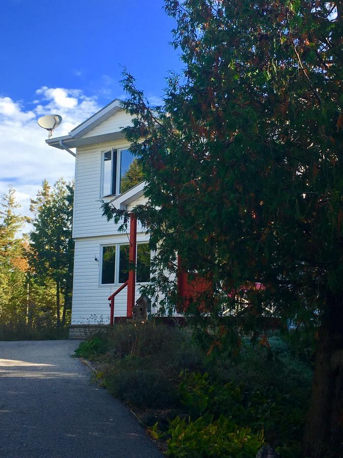 The Forest House B&B - Adult Only 托伯莫里 外观 照片